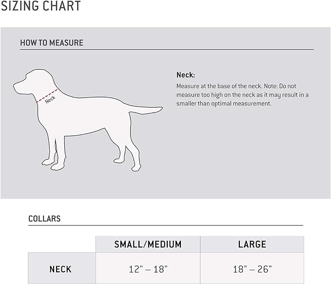 Carhartt Fully Adjustable Nylon Webbing Collars for Dogs, Reflective Stitching for Visibility, Hunter Orange (Nylon Webbing), Large Carhartt