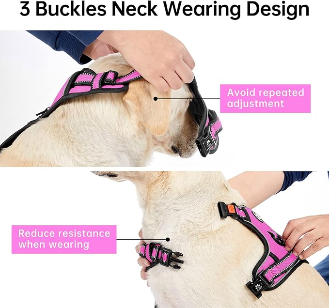 IVY&LANE No Pull Dog Harness for Medium Dogs, Dog Vest Harness with Leash, Safety Belt and Storage Strap, Fully Adjustable Harness, 360° Reflective Strip, Soft Handle (Fuchsia Pink,M) IVYLANE