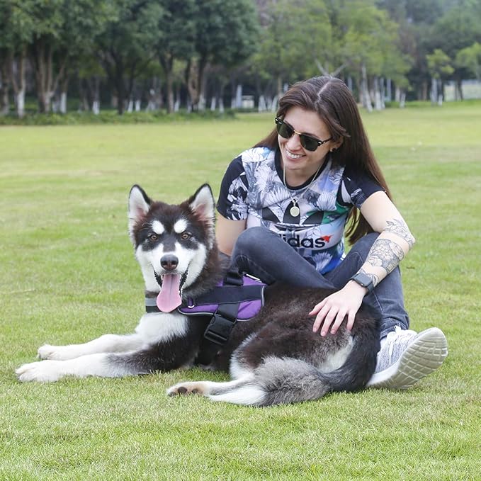Bolux Dog Harness, No-Pull Reflective Dog Vest, Breathable Adjustable Pet Harness with Handle for Outdoor Walking - No More Pulling, Tugging or Choking (Purple, L) Bolux