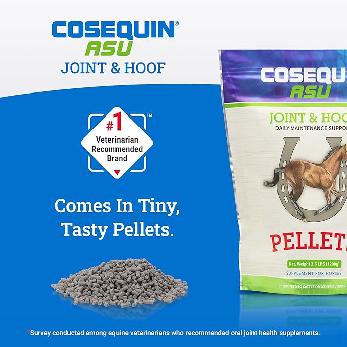 Nutramax Laboratories Cosequin ASU Joint & Hoof Pellets Joint Health Supplement for Horses - Pellets with Glucosamine, Chondroitin, MSM, and Biotin, 1200 Grams NutramaxLaboratories