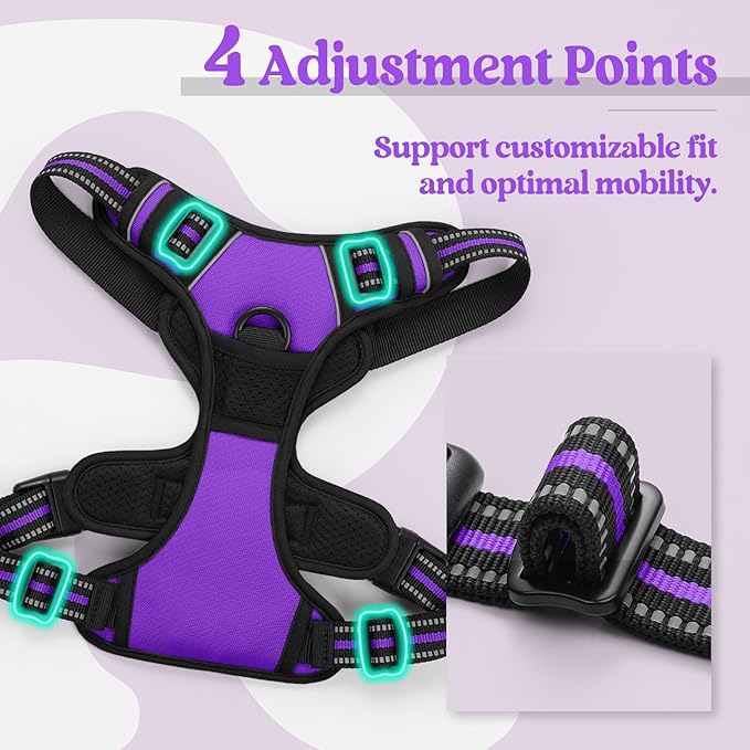 rabbitgoo Dog Harness No Pull with 2 Leash Clips, Adjustable Soft Padded, Reflective Oxford No Choke Pet Vest with Easy Control Handle for Large Dogs, Purple, L rabbitgoo