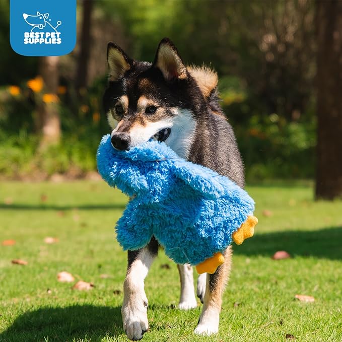 Best Pet Supplies Chicken Crinkle Plush Dog Toys for Interactive Play, Puppy and Senior Indoor Play, Colorful Chicken Toy Shape, Cute and Cuddly - Crinkle Chicken (Blue) - PAWPICO