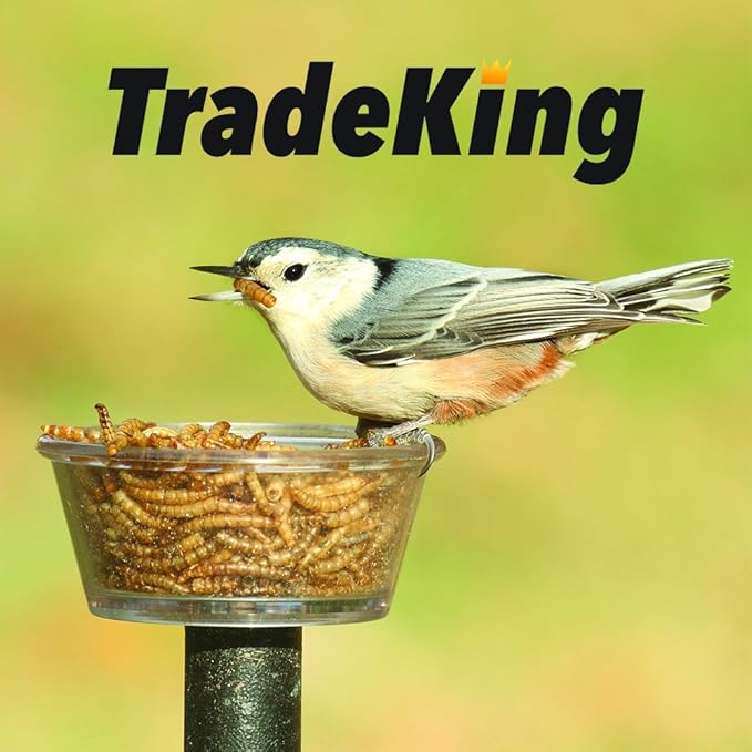 1 lb Dried Mealworms - High Protein Treat for Wild Birds, Chicken, Fish & Reptiles TradeKing