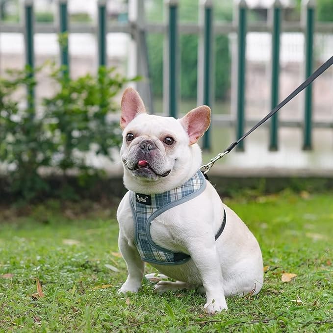 PUPTECK Soft Mesh Dog Harness and Leash Set Pet Puppy Cat Comfort Padded Vest No Pull Harnesses, Sky Blue, L PUPTECK