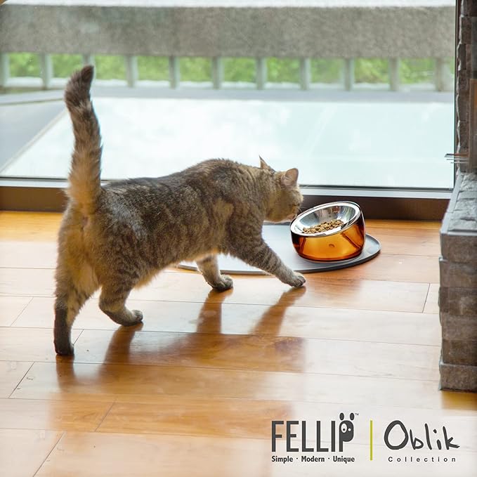 Felli Pet Oblik Anti Whisker Fatigue & Regurgitation Raised Cat Food Water Bowl, Tilted Stainless Steel Shallow Dish Dishwasher Easy Clean, Elevated Dry Wet Metal Feeder Slanted Plate (0.5Cups, Gold) - PAWPICO