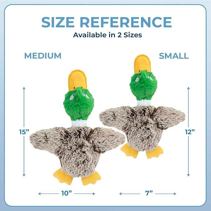 Best Pet Supplies Interactive Mallard Mates Dog Toy with Crinkle and Squeaky Enrichment for Small and Medium Breed Puppies or Dogs, Cute and Plush - Mallard Duck (Gray), Small - PAWPICO