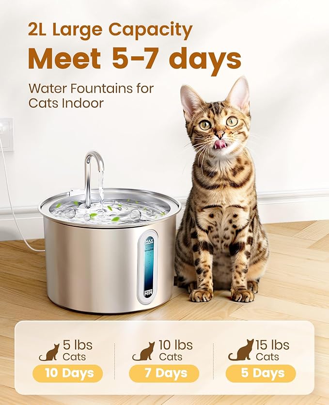 oneisall Stainless Steel Cat Water Fountain, 2L Water Fountains for Cats Indoor Dishwasher Safe with Quiet Pump and 3 Replacement Filters, Automatic Pet Water Fountain Faucet Spout Design - PAWPICO