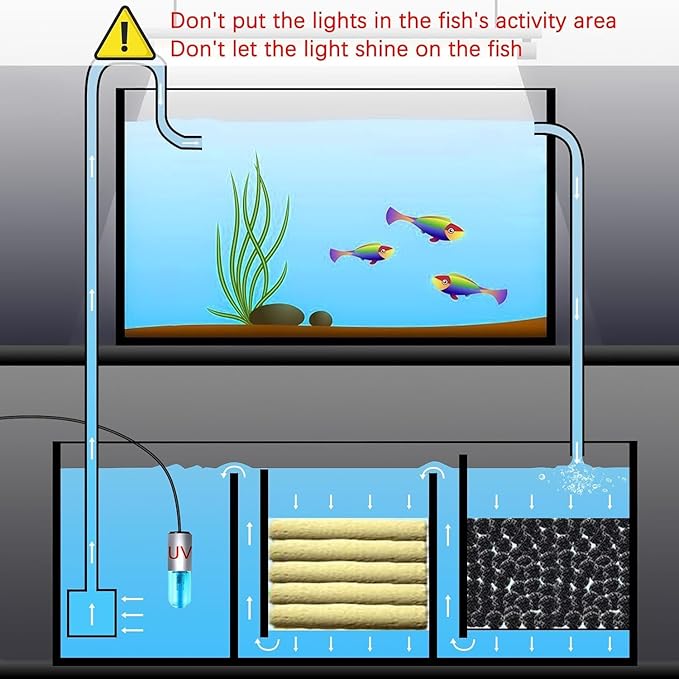 Aquarium Clean Light,3 W Mini Submersible Algae Removal Light with Timer,Aquarium Water Clean Green Clear Waterproof Clean Light for Pond,Swimming Pool AquariumPetsFishMonopoly