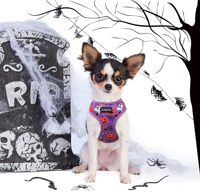 SCENEREAL Small Dog Harness Collar and Leash Set, Adjustable No Pull Pet Harnesses, No Chock Soft Mesh Step in Vest Halloween Costume for Doggie Puppy Dogs Cats Girl Boy Outdoor Walking SCENEREAL