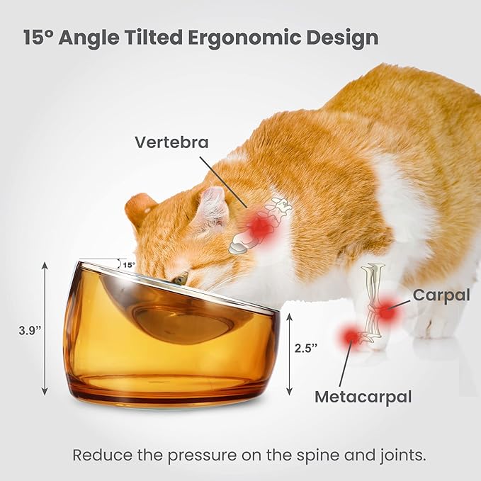 Felli Pet Oblik Anti Whisker Fatigue & Regurgitation Raised Cat Food Water Bowl, Tilted Stainless Steel Shallow Dish Dishwasher Easy Clean, Elevated Dry Wet Metal Feeder Slanted Plate (0.5Cups, Gold) - PAWPICO