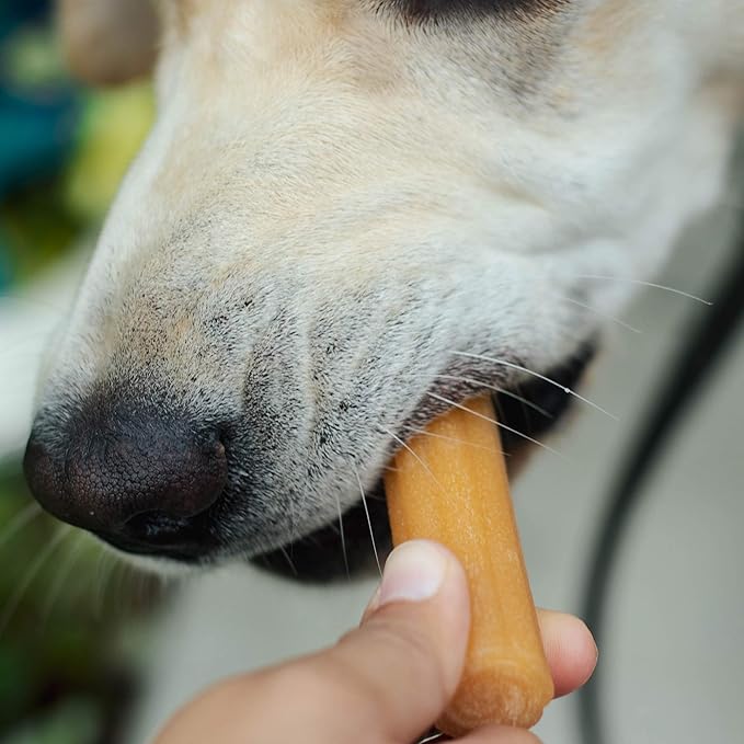 yaky CHURRO Himalaya Cheese Treats | Lactose Free | Gluten Free | Grain Free | USA MADE | for All Breeds | 4 CHURROs per Pouch | Original Cheese Flavor - PAWPICO