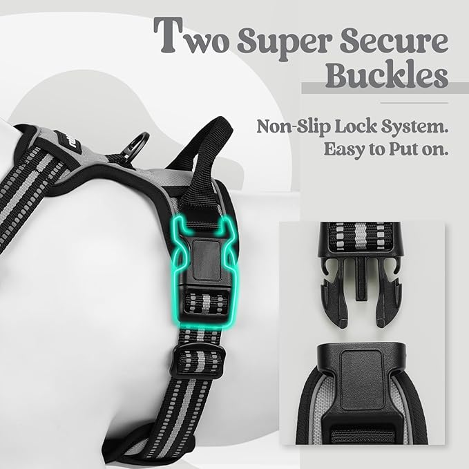 rabbitgoo Dog Harness No Pull with 2 Leash Clips, Adjustable Soft Padded, Reflective Oxford No Choke Pet Vest with Easy Control Handle for Medium Sized Dogs, Grey, M rabbitgoo