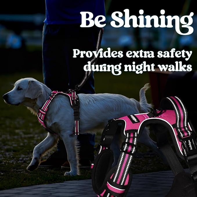 rabbitgoo Dog Harness for Large, No Pull Pet Harness with 3 Buckles, Adjustable Soft Padded Pooch Vest with Instant Control Handle, Easy Walking Reflective Pet Vest for Extra Large Dogs,Rose Pink, XL rabbitgoo