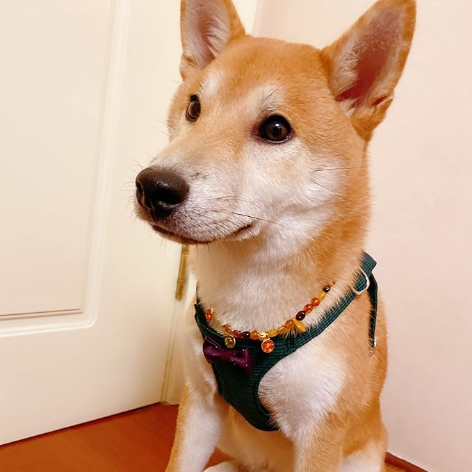 Puppytie No Pull xs Dog Harness with Multifunction Dog Leash,Soft Adjustable No Choke Escape Proof Pet Harness Vest,Plaid Green,xs Puppytie