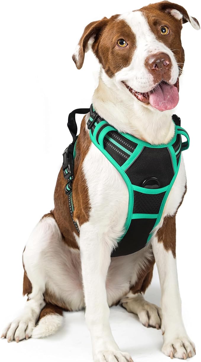 rabbitgoo Dog Harness No Pull with 2 Leash Clips, Adjustable Soft Padded, Reflective Oxford No Choke Pet Vest with Easy Control Handle for Large Dogs, Black & Turquoise, L rabbitgoo