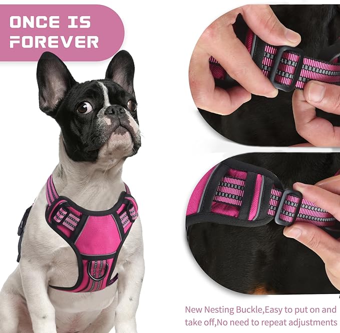 BUMBIN Dog Harness for Large Dogs, No Pull Adjustable No Choke Pet Vest with Dog Leash Fit Smart Reflective Pet Walking Harness for Training Easy Control Soft Handle Rose Red S BUMBIN