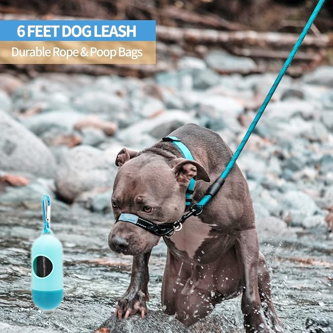 BAAPET 2/4/5/6 FT Dog Leash with Comfortable Padded Handle and Highly Reflective Threads for Small Medium and Large Dogs (6FT-1/2'', Blue) BAAPET
