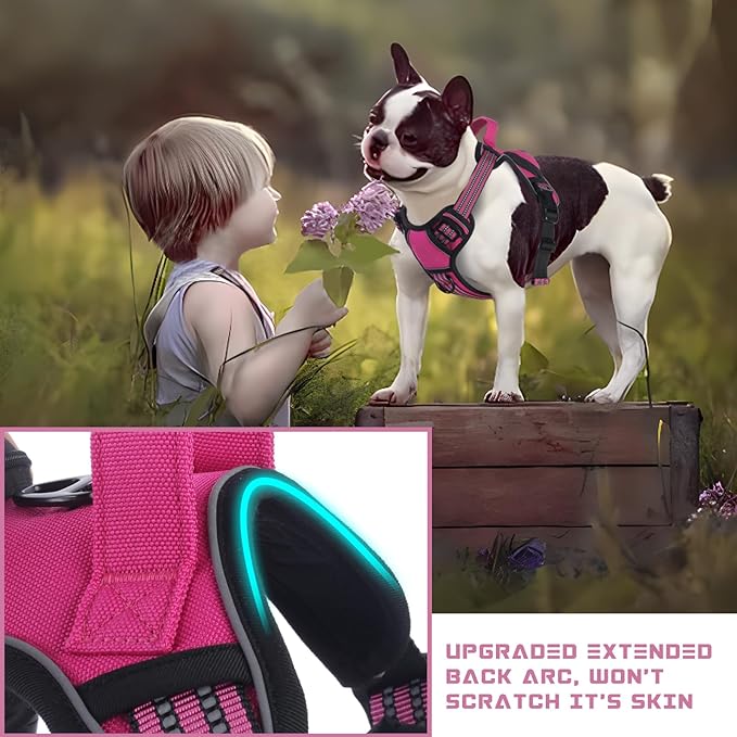 BUMBIN Dog Harness for Large Dogs, No Pull Adjustable No Choke Pet Vest with Dog Leash Fit Smart Reflective Pet Walking Harness for Training Easy Control Soft Handle Rose Red S BUMBIN