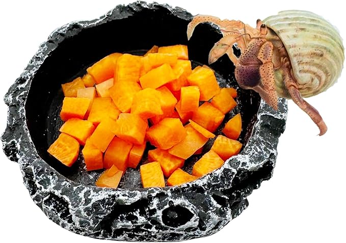3 Pack Reptile Water Dish Food Bowl, Reptile Feeding Terrarium Bowls for Bearded Dragon Lizard Frog Gecko Tortoise Hermit Crab Snail (Black) CATDABIR