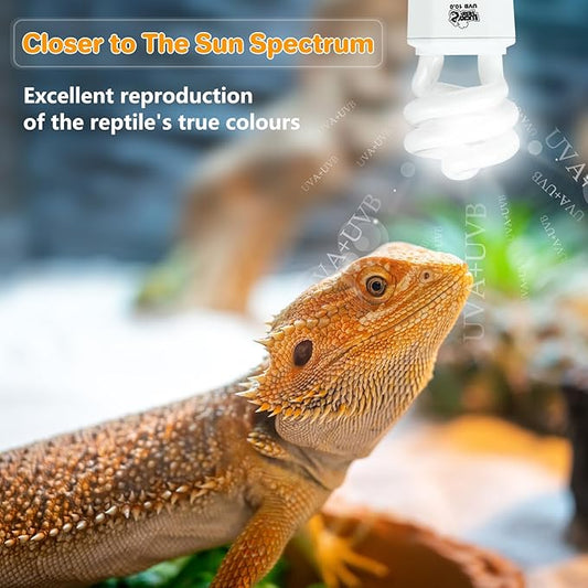 Lucky HERP UVA UVB Reptile Light 10.0, Desert UVB 150 Compact Fluorescent Lamp, UVB Light for Reptiles 15W, UVA UVB Reptile Light Bulb, UVB Bulb for Reptiles Bearded Dragons Lizards Tortoises Snakes LUCKYHERP