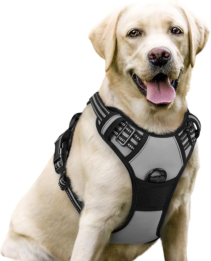 rabbitgoo Dog Harness No Pull with 2 Leash Clips, Adjustable Soft Padded, Reflective Oxford No Choke Pet Vest with Easy Control Handle for Large Dogs, Grey, L rabbitgoo
