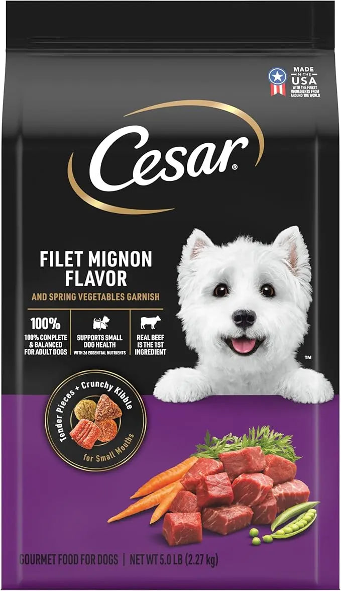 CESAR Adult Small Breed Dry Dog Food, Filet Mignon Flavor with Spring Vegetables Garnish, 5 lb. Bag - PAWPICO