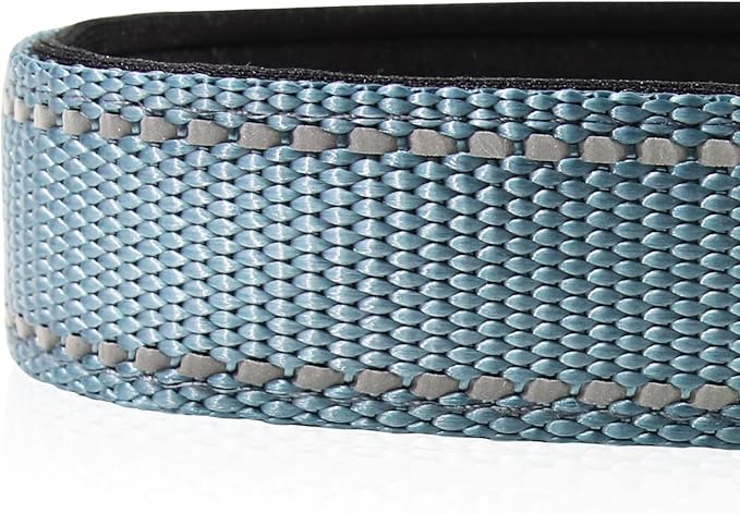 Joytale Reflective Dog Collar,Soft Neoprene Padded Breathable Nylon Pet Collar Adjustable for Medium DogsGray,M - PAWPICO