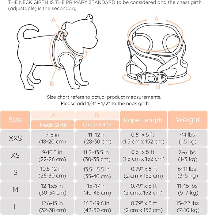 BELLA & PAL Puppy Harness with Leash Set, Dog Harness for Small Dogs No Pull, Dog Leash for Small Dogs, Step in Harness for Extra Small Dogs, Peach Harness, XS BELLAPAL
