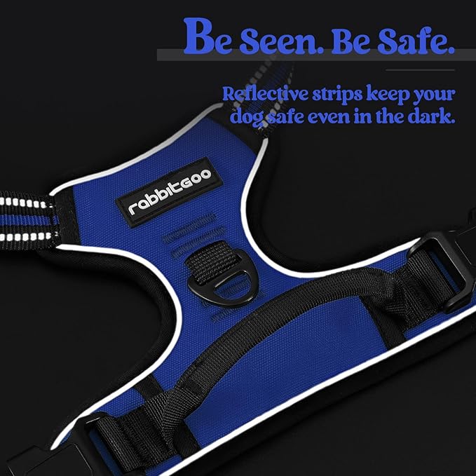 rabbitgoo Dog Harness No Pull with 2 Leash Clips, Adjustable Soft Padded, Reflective Oxford No Choke Pet Vest with Easy Control Handle for Medium Sized Dogs, Dazzling Blue, M rabbitgoo