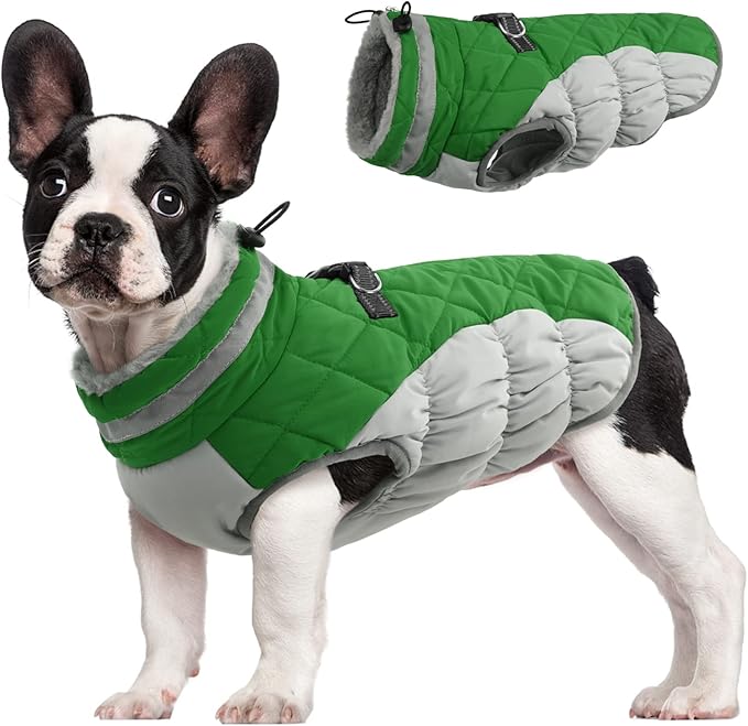 FUAMEY Dog Coat,Warm Dog Jacket Winter Coat Paded Dog Fleece Vest Reflective Dog Cold Weather Coats with Built in Harness Waterproof Windproof Dog Snow Jacket Clothes with Zipper Green Small - PAWPICO