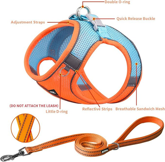 AIITLE Step in Dog Harness and Leash Set - Spring No Pull Escape Proof Vest Harnesses with Soft Mesh and Reflective Bands, Adjustable Pet Outdoor Harnesses for Small and Medium Dogs Orange M AIITLE-FORPETSBETTERLIFE