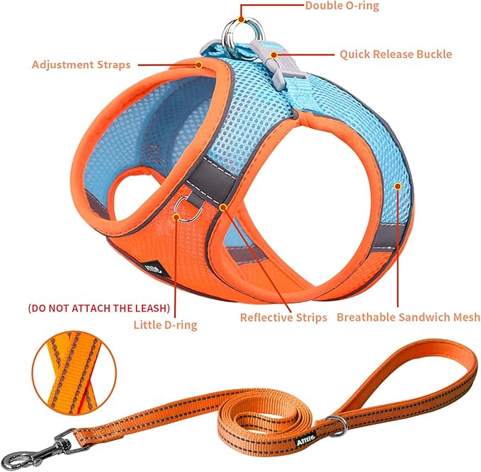 AIITLE Comfortable Dog Harness and Leash Set for Walking - Spring Step in Vest Harness,Reflective Bands, Adjustable No Pull Puppy Essentials, for Small Dogs and House Cats Orange XS AIITLE-FORPETSBETTERLIFE
