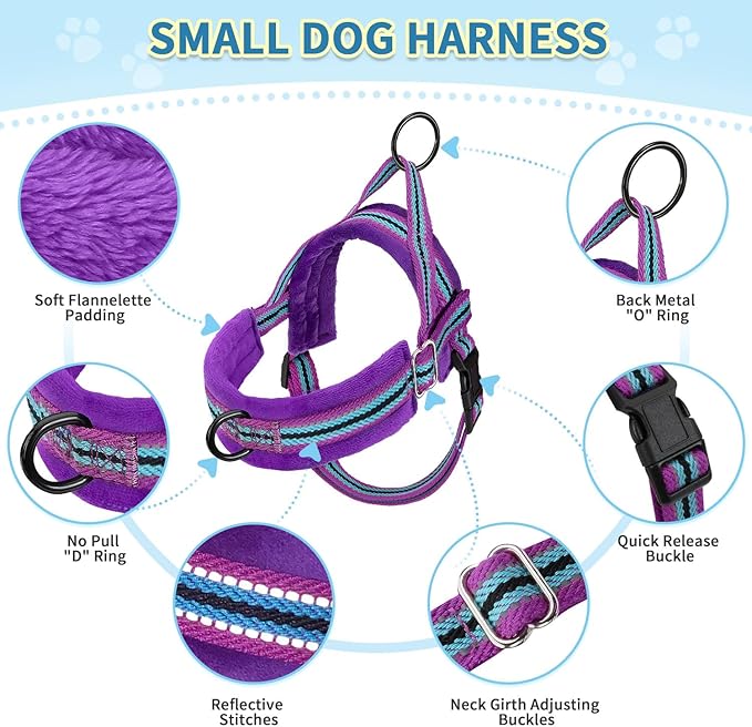 SlowTon No Pull Small Dog Harness and Leash Set, Puppy Soft Vest Harness Neck & Chest Adjustable, Reflective Lightweight Harness & Anti-Twist Pet Lead Combo for Small Medium Dogs (PU-Front Clip, XXS) SlowTon