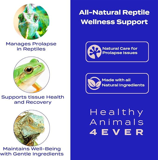 HealthyAnimals4Ever Reptile Wellness Support - Natural Care for Prolapse Management, Organ Retention & Enhanced Tissue Health - Gentle, Holistic Recovery Formula for Reptile Well-Being - 300 Count HealthyAnimals4ever