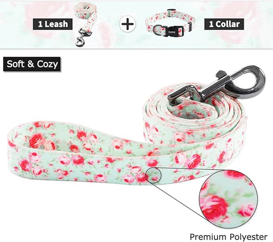 Ihoming Dog Collar and Leash Set for Daily Outdoor Walking Running Training, Floral GreenLake Design for Small Boys Girls Dogs Cats Pets, S-Up to 20LBS Ihoming