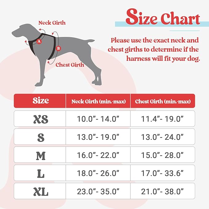 rabbitgoo Dog Harness No Pull with 2 Leash Clips, Adjustable Soft Padded, Reflective Oxford No Choke Pet Vest with Easy Control Handle for Medium Sized Dogs, Red & Teal, M rabbitgoo