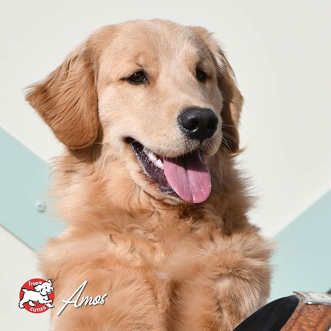 Fromm Four-Star Nutritionals Surf & Turf Dog Food - Premium Dry Dog Food - Salmon Recipe - 26 lb - PAWPICO