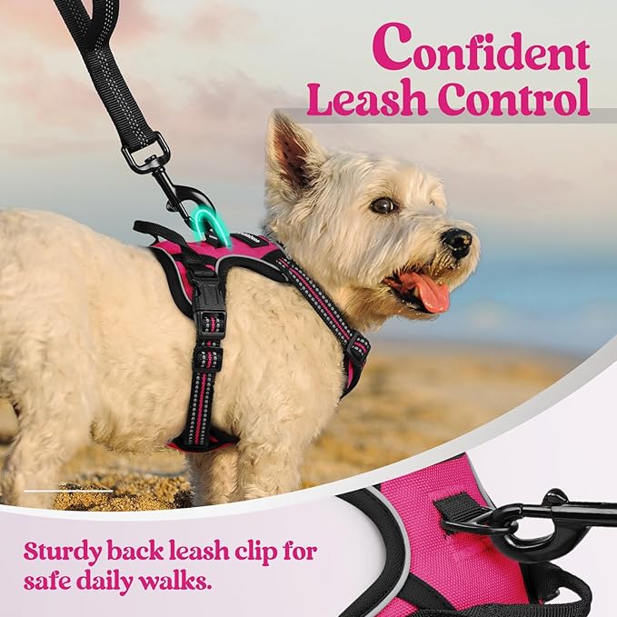 rabbitgoo Dog Harness No Pull with 2 Leash Clips, Adjustable Soft Padded, Reflective Oxford No Choke Pet Vest with Easy Control Handle for Puppy, Hot Pink, XS rabbitgoo
