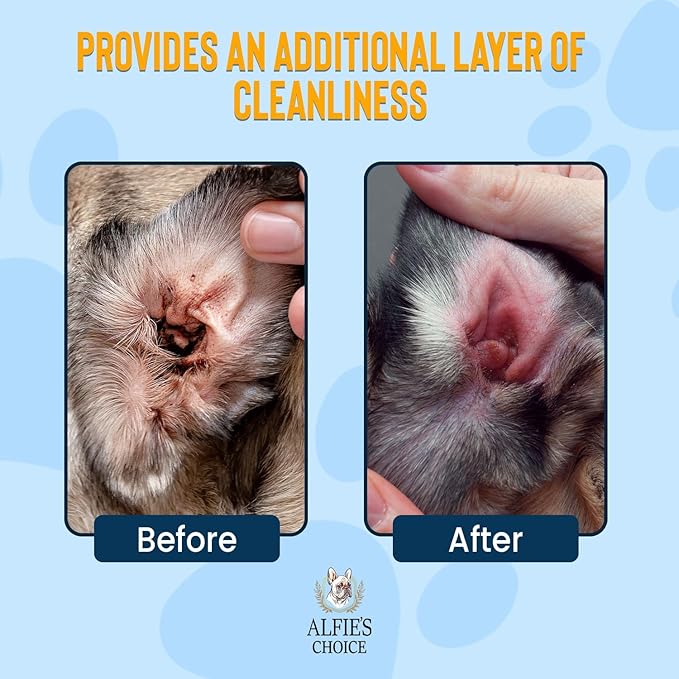 ALFIE'S CHOICE Dog Ear Wash - with Lavender & Tea Tree Oil to Soothes Pet Itchy Ears – Ear Wash for Dogs Cleans Debris and Buildup - Advanced Ear Cleanser for Dogs and Cats 16 fl oz AlfiesChoice