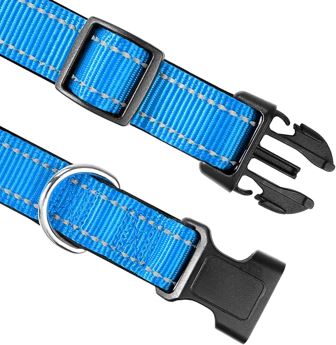 Joytale Reflective Dog Collar,Soft Neoprene Padded Breathable Nylon Pet Collar Adjustable for Small Dogs,Sky Blue,S - PAWPICO