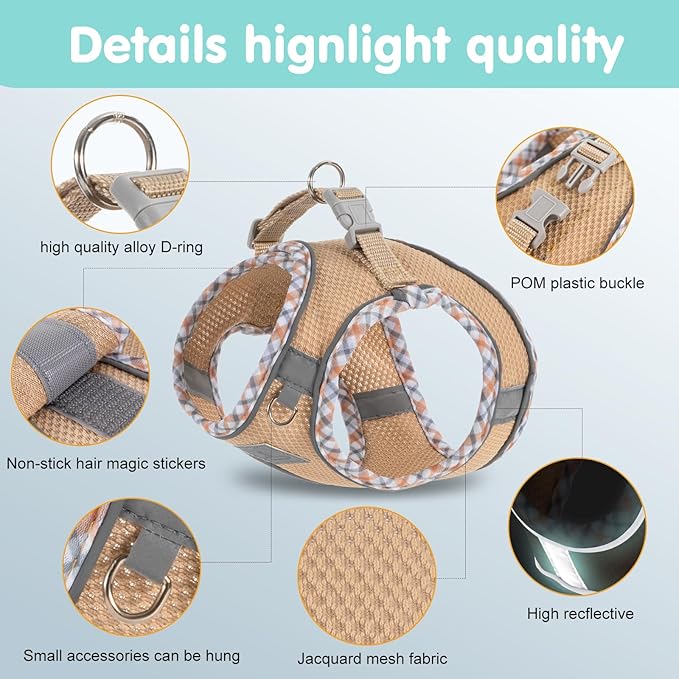 Dog Harness and Leash Set, No Pull Pet Harness for Small Dogs Easy Walking,Soft Breathable Small Dog Harness,Adjustable Reflective Step in Vest Harness for Puppy,Kitten, Cats TomteNisse