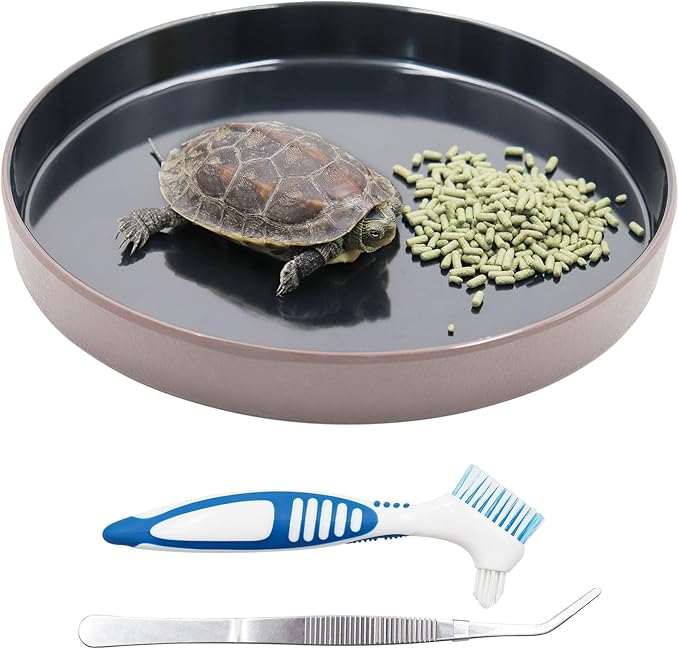 Reptile Feeder Kit, Food Water Bowl, Plastic Round Tortoise Feeding Dish, Amphibian Feeding Bowl, Tank Terrarium Accessories for Bearded Dragon Snake Hermit Crab Turtle Lizard Chameleon - 8 × 8 × 1" Neeenn
