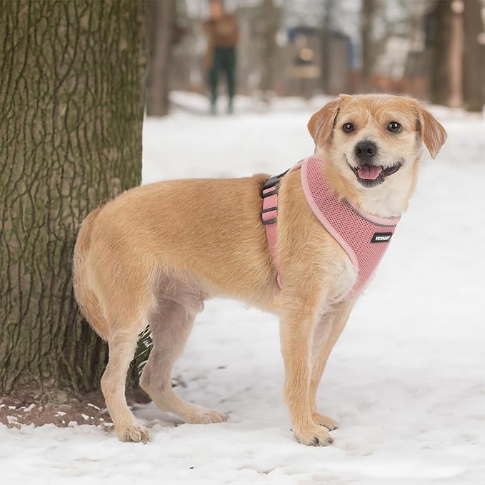 Voyager Aerolite No Pull Mesh Dog Harness with Lightweight, Soft, Breathable, Reflective Stitching, and Adjustable Straps for Walking, Running, Training, Heavy Duty and Durable - Pink, S BestPetSuppliesLLC