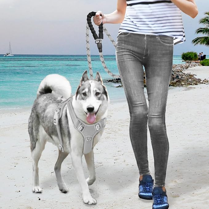 BARKBAY No Pull Dog Harness Large Reflective Dog Harness with Front Clip and Easy Control Handle for Walking Training Running with ID tag Pocket(Grey,S) BARKBAY