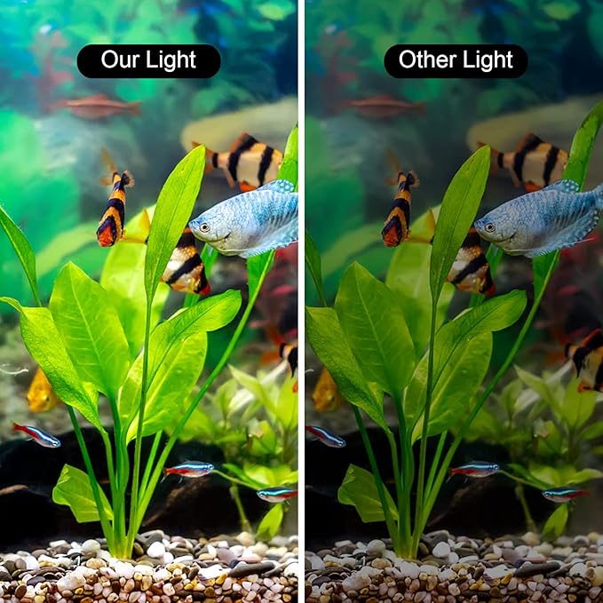 WEAVERBIRD Double Head Aquarium Fish Tank Light 15W 32 LED Aquarium Planted Clip Lamp 1600LM White LED Lighting for 8-15 Inch Fish Tank WEAVERBIRD