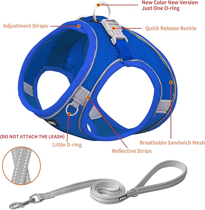 AIITLE Step in Dog Harness and Leash Set - Spring No Pull Escape Proof Vest Harnesses with Soft Mesh and Reflective Bands, Adjustable Pet Outdoor Harnesses for Small and Medium Dogs Royal Blue M AIITLE-FORPETSBETTERLIFE