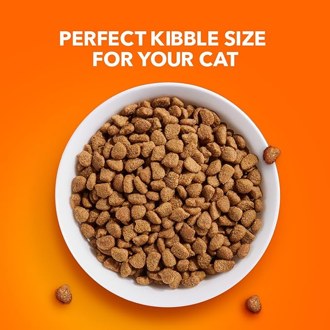 IAMS Proactive Health Healthy Adult Dry Cat Food with Chicken, 16 lb. Bag - PAWPICO