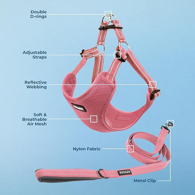 Best Pet Supplies Voyager Adjustable Dog Harness Leash Set with Reflective Stripes for Walking Heavy-Duty Full Body No Pull Vest with Leash D-Ring, Breathable All-Weather - Harness (Pink), L BestPetSuppliesLLC