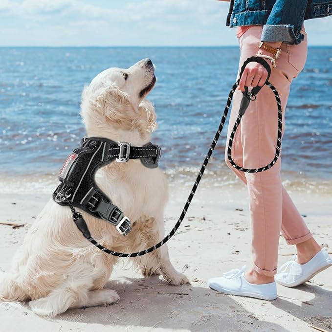 BARKBAY No Pull Dog Harness 3 Buckles Large Reflective Dog Harness with Front Clip and Easy Control Handle for Walking Training Running with ID tag Pocket(Black,M) BARKBAY