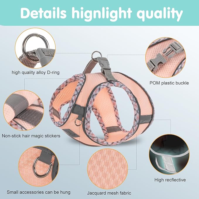 Dog Harness and Leash Set, No Pull Pet Harness for Small Dogs Easy Walking,Soft Breathable Small Dog Harness,Adjustable Reflective Step in Vest Harness for Puppy,Kitten, Cats TomteNisse